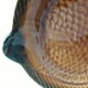 Sarreguemines vintage fish service