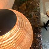 Ancient beech and oak establishment