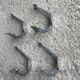 Set of 4 old metal coat hooks