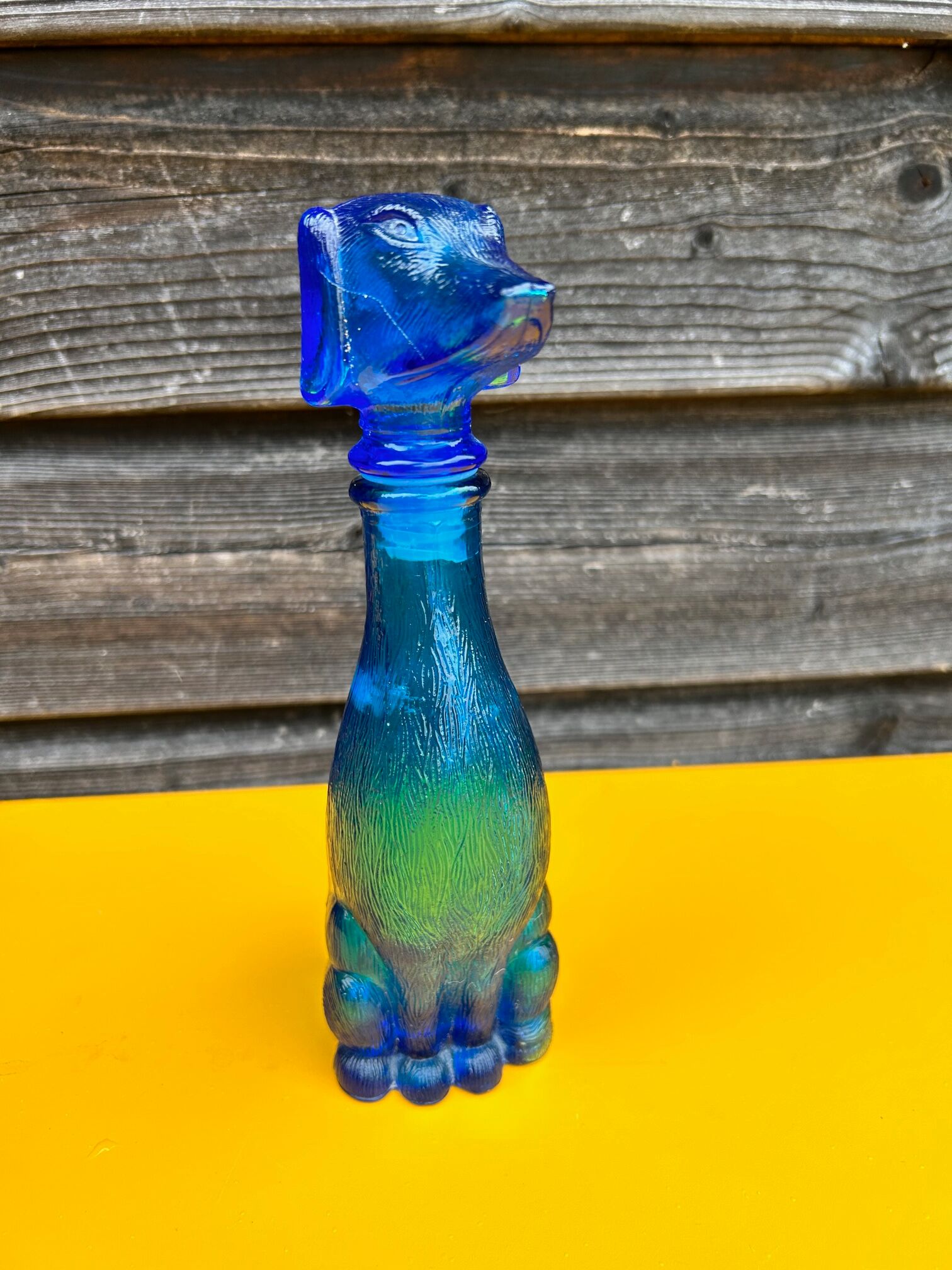 Italian bottle dog polite