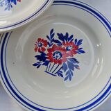 6 Salsola flat plates