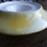 Citrus press lemon in slurry