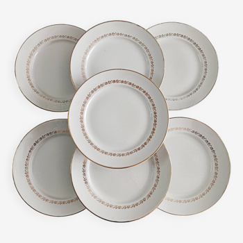 Lot de 7 assiettes plates Moulin des loups