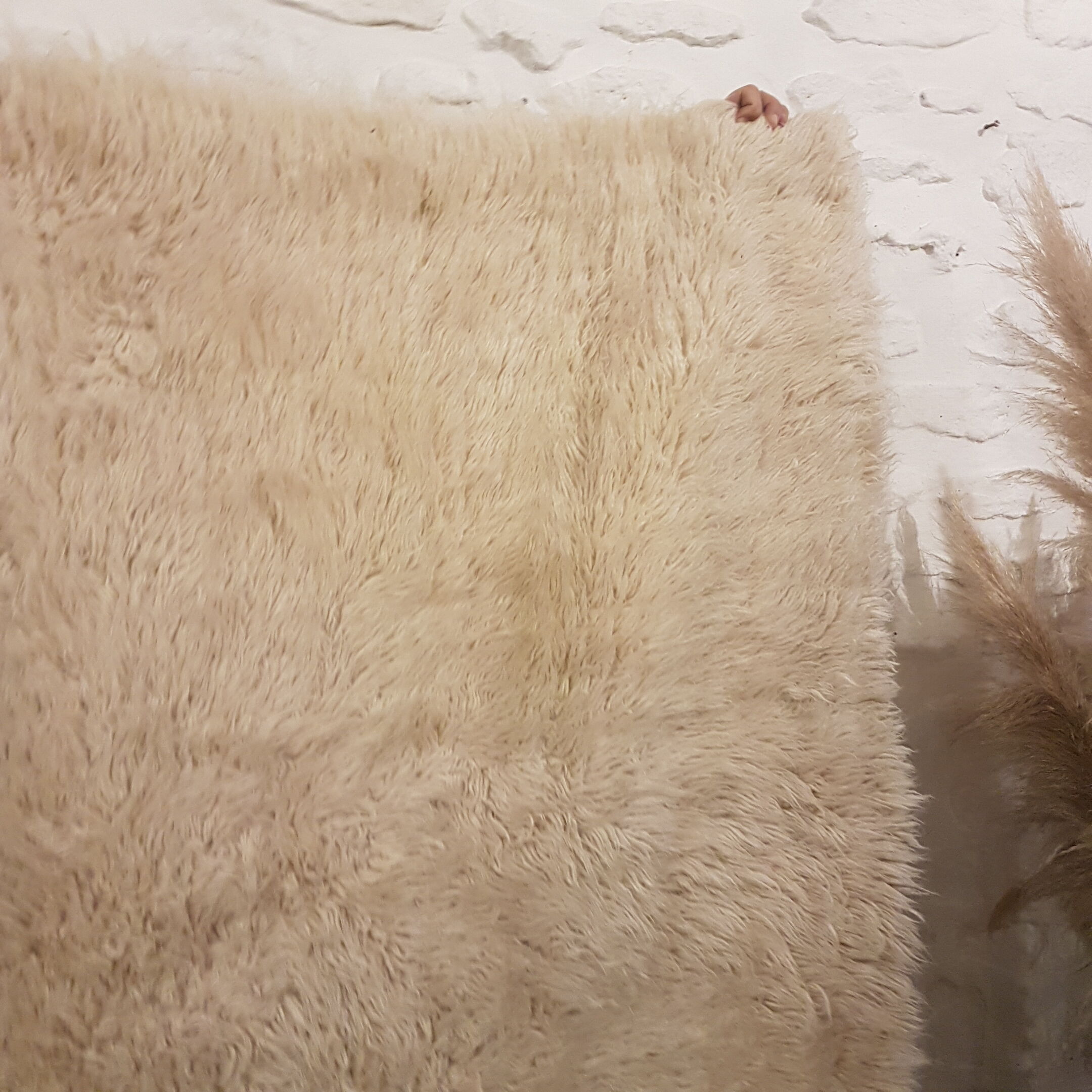 Vintage carpet in long hairwool 280 x 165 cm