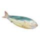 Fish-shaped slip box - old