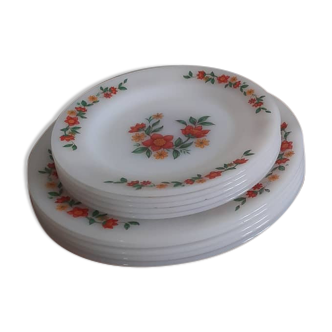 Assiettes Arcopal