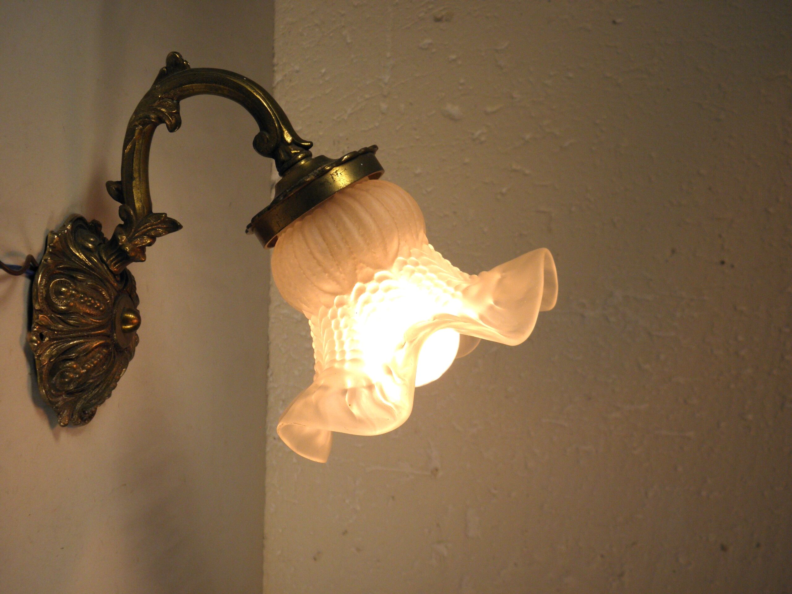 Pair of gooseneck sconces in brass and glass