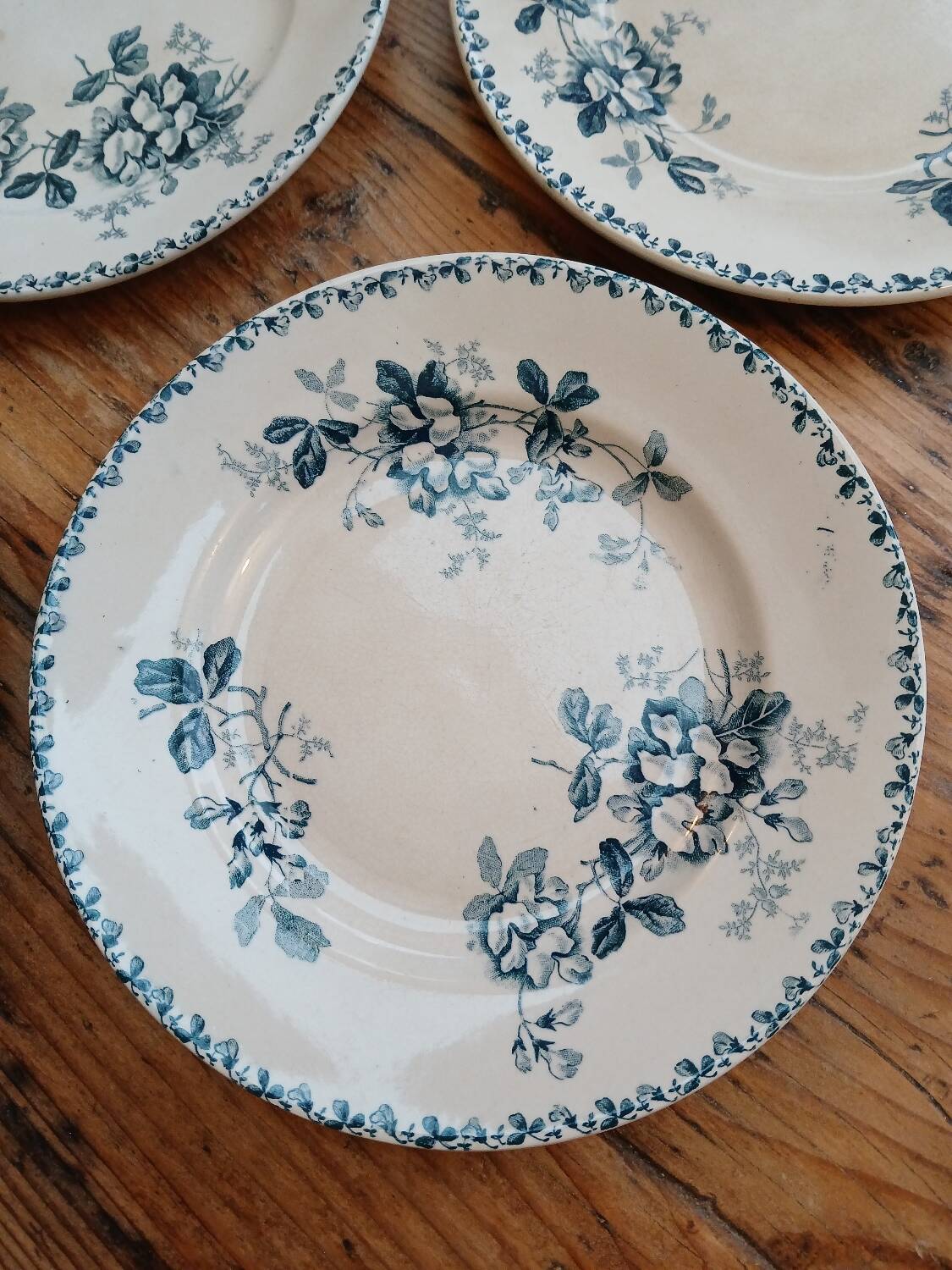 Set of 6 Terre de Fer plates, Acacia model