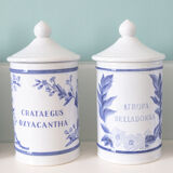 5 pots ceramic pharmacy ceramic earthenware of Longchamp