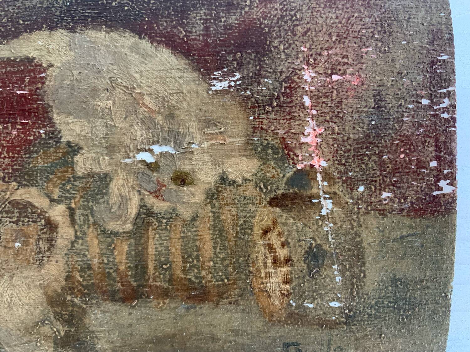 Small old signed painting, scene of cats, oil on panel, 1900