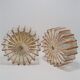 Pair of ceiling lamps