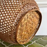 Wicker cane basket planter