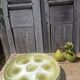 Seafood earthenware plates