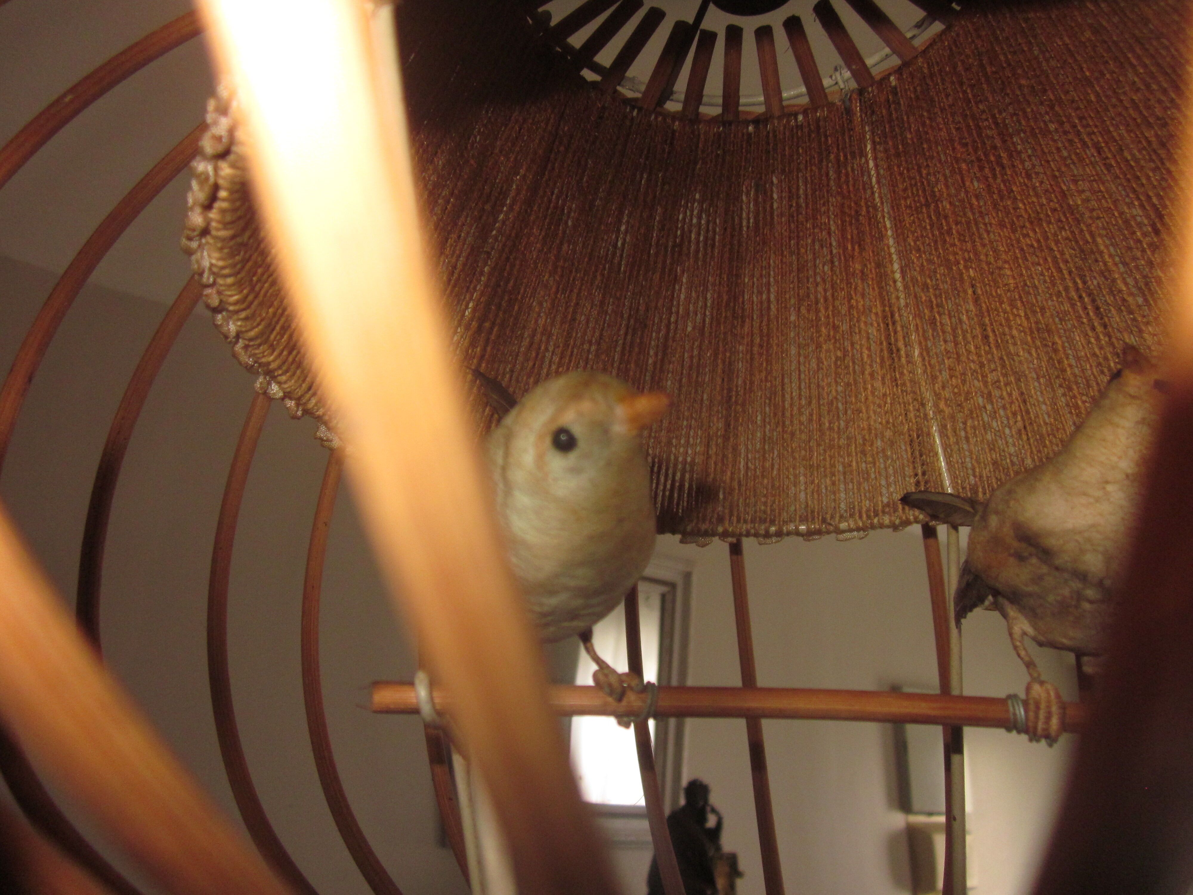 Suspension cage avec oiseaux