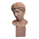 Antique terracotta bust