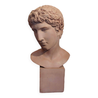 Antique terracotta bust