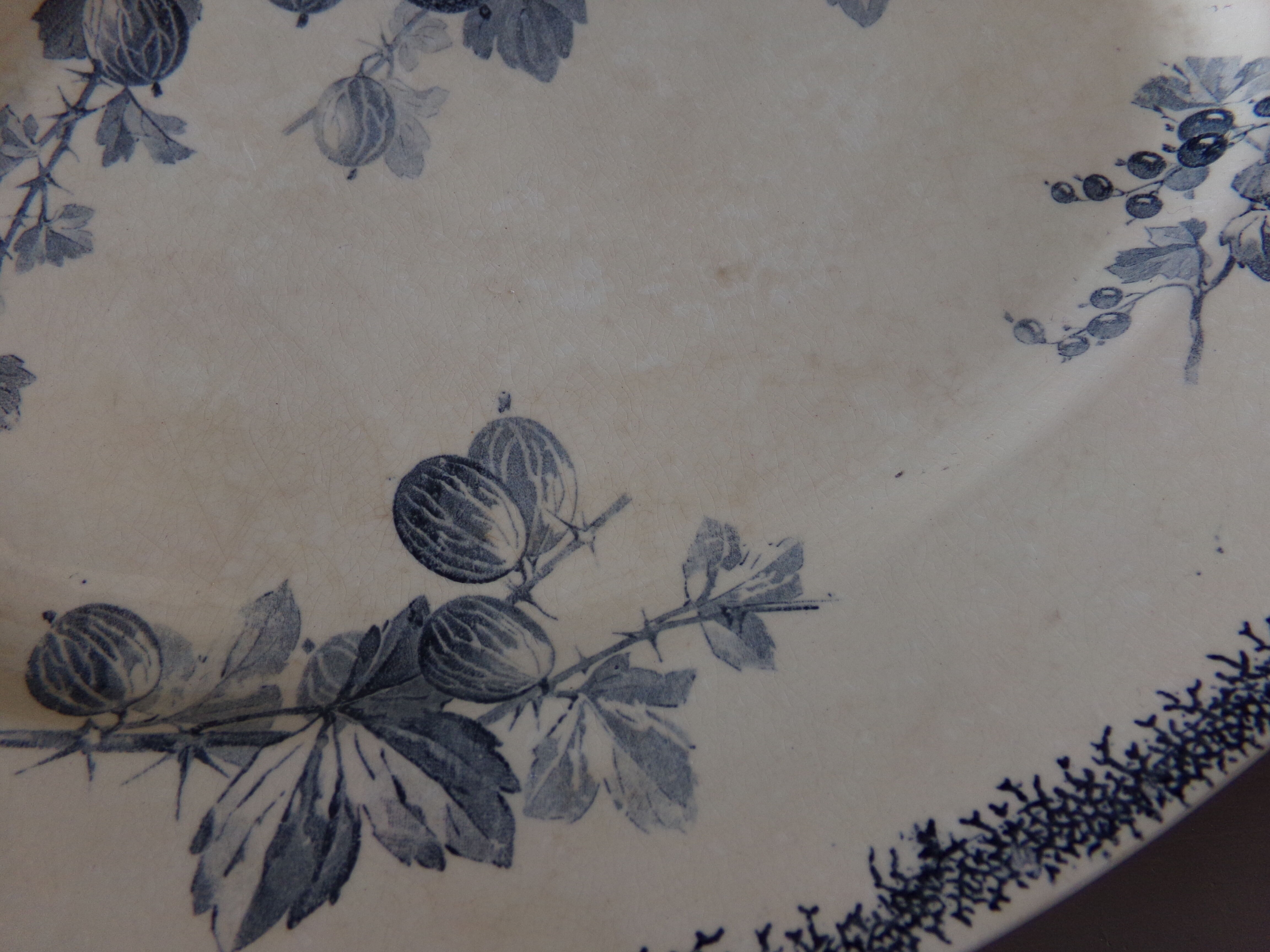 Oval dish U&Cie Sarreguemines model "currants"