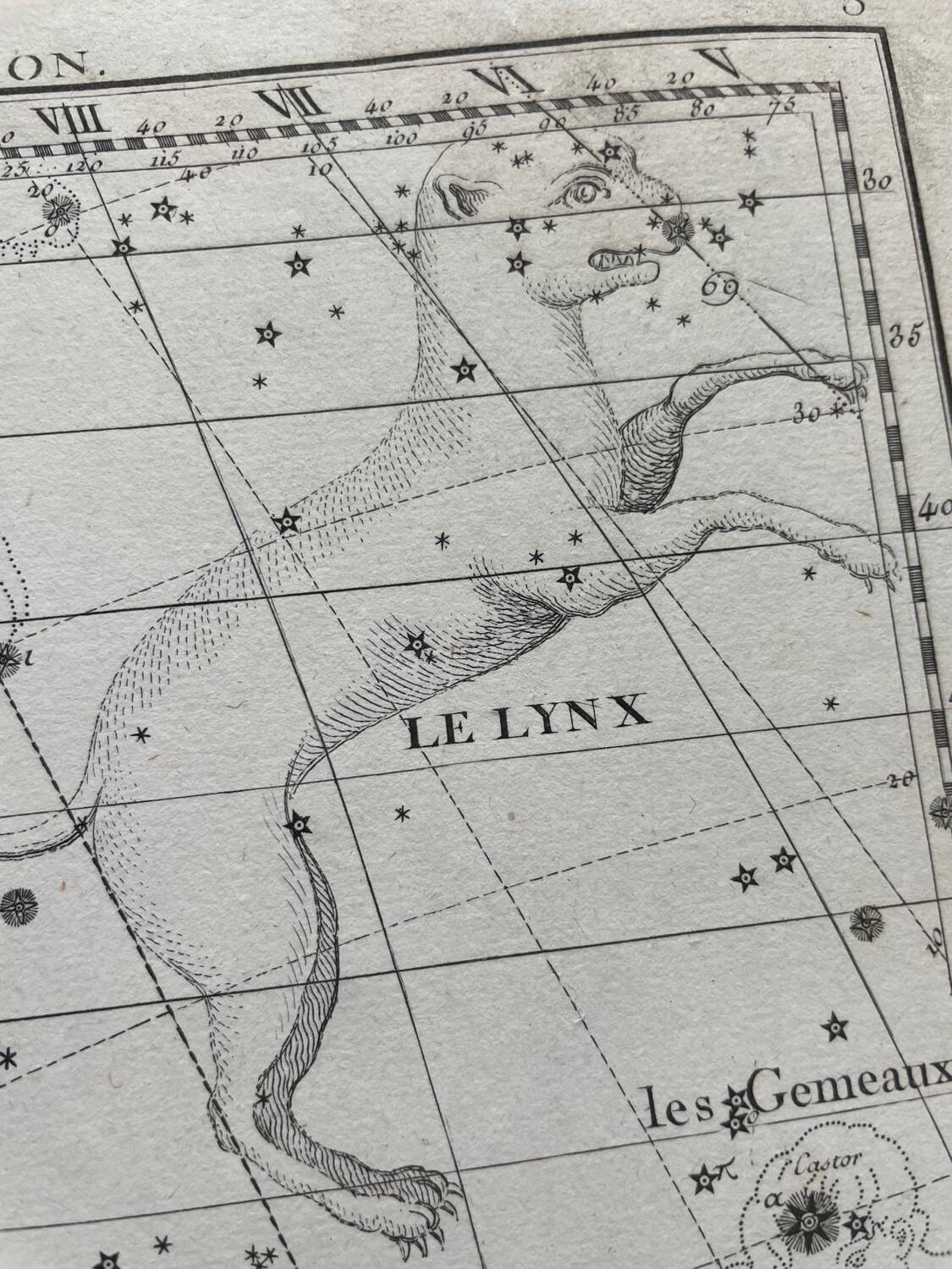 The Lynx and the Little Lyon - Astrology plate 1795