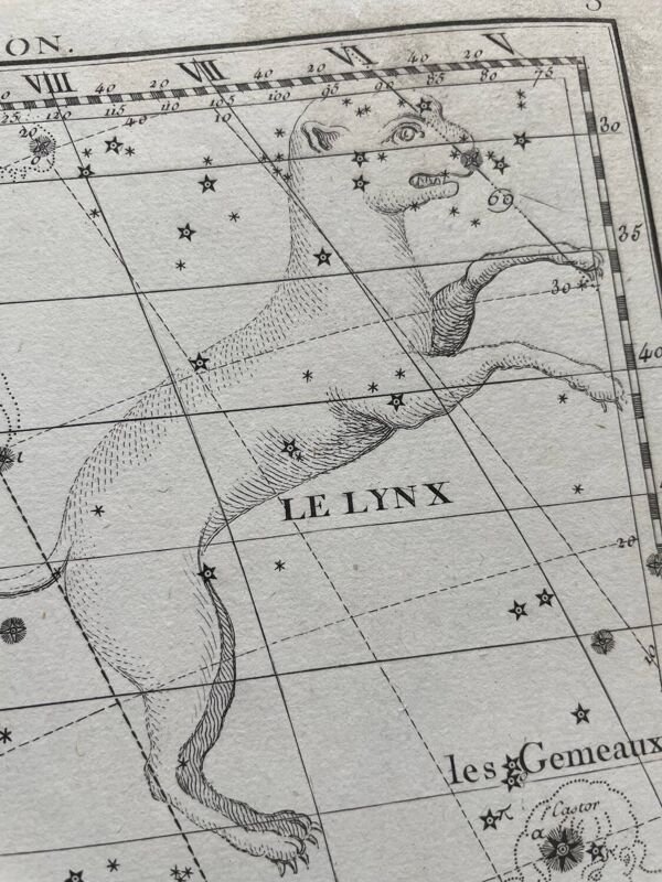 Le Lynx et le Petit Lyon - Planche d’astrologie 1795
