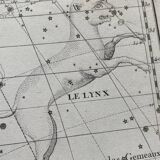 The Lynx and the Little Lyon - Astrology plate 1795
