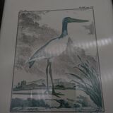 2 framed plates, quail and jabiru, buffon