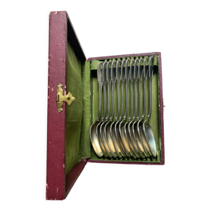 12 cuillères dans boîte