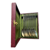 12 spoons in original box