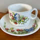 Set of 4 Marjolein Bastin Teacups with Saucers from the "Libelle" Series, J&G Meakin, Wedgwood Group