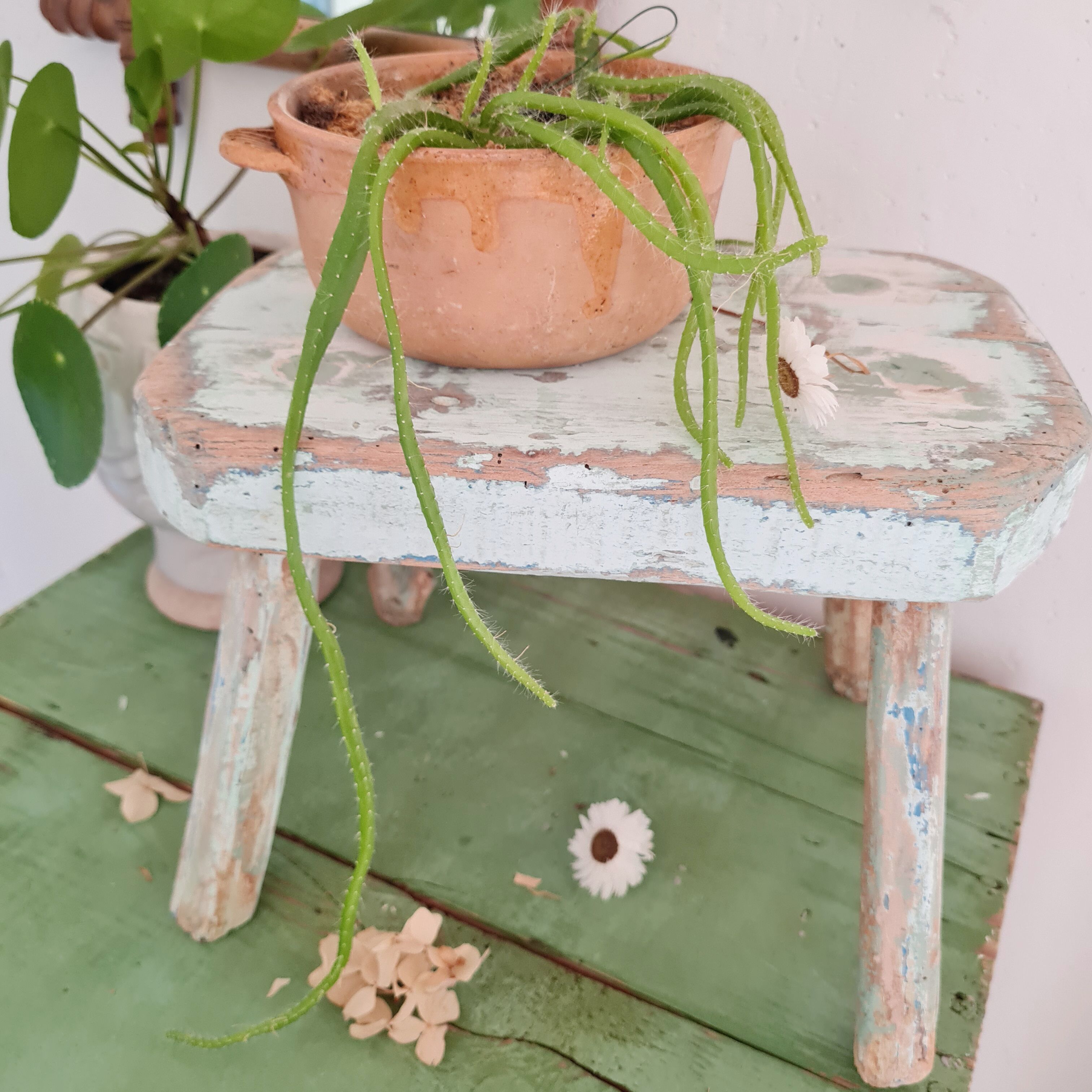 Tabouret de ferme en bois patine bleu vert