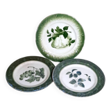 Antique earthenware plates with fruit decoration.
