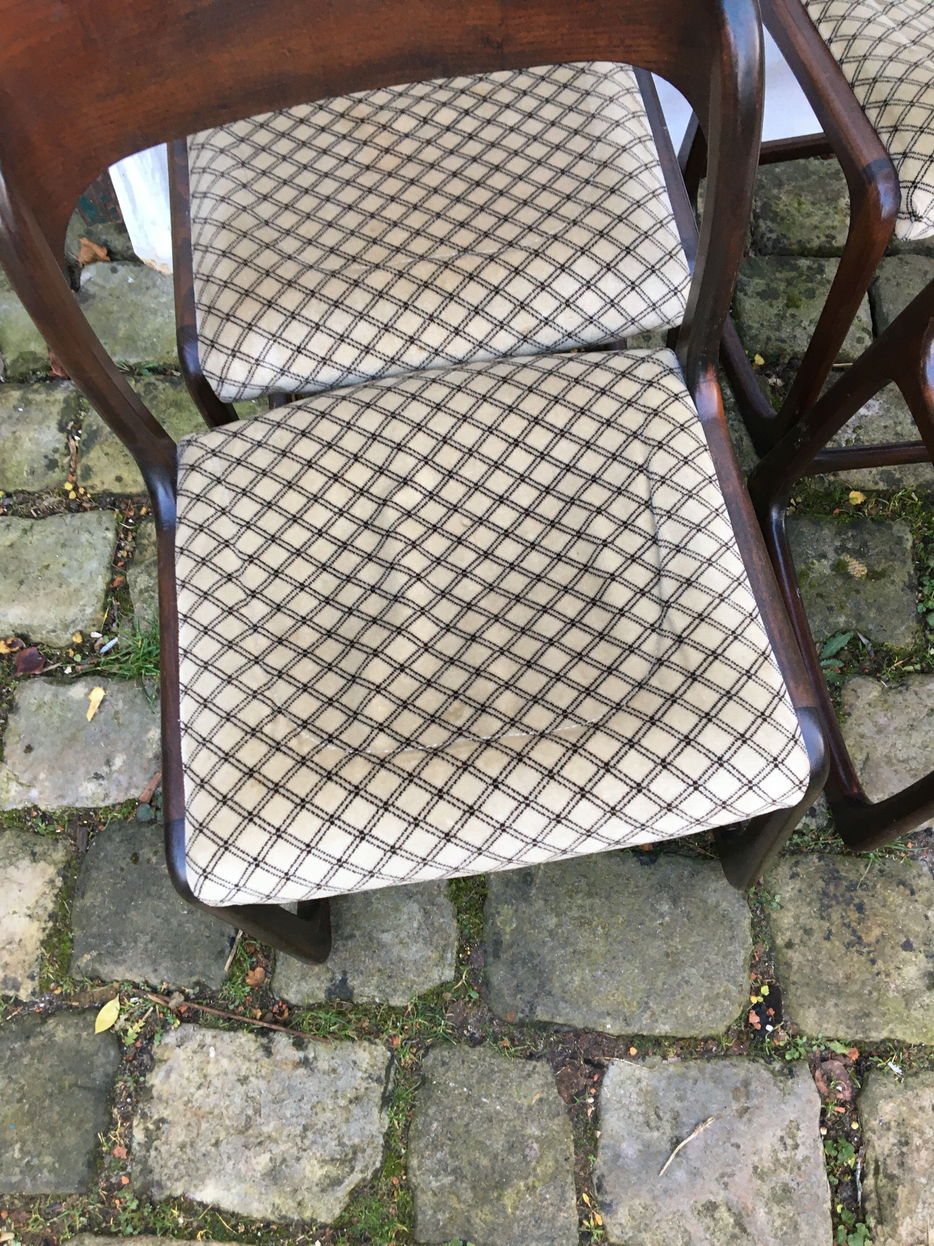 Series of 4 chairs Baumann sled in rosewood