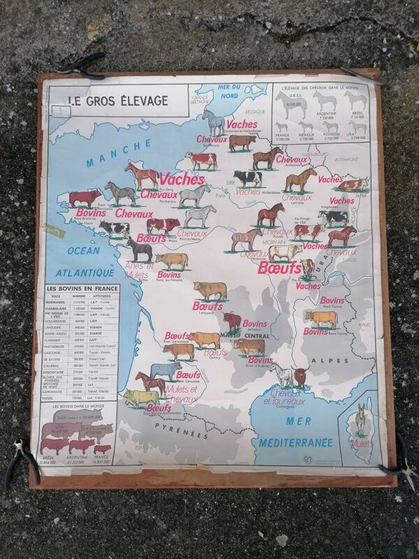 Ancienne affiche scolaire MDI France, le gros élevage et le Rhône.