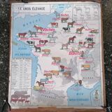 Ancienne affiche scolaire MDI France, le gros élevage et le Rhône.