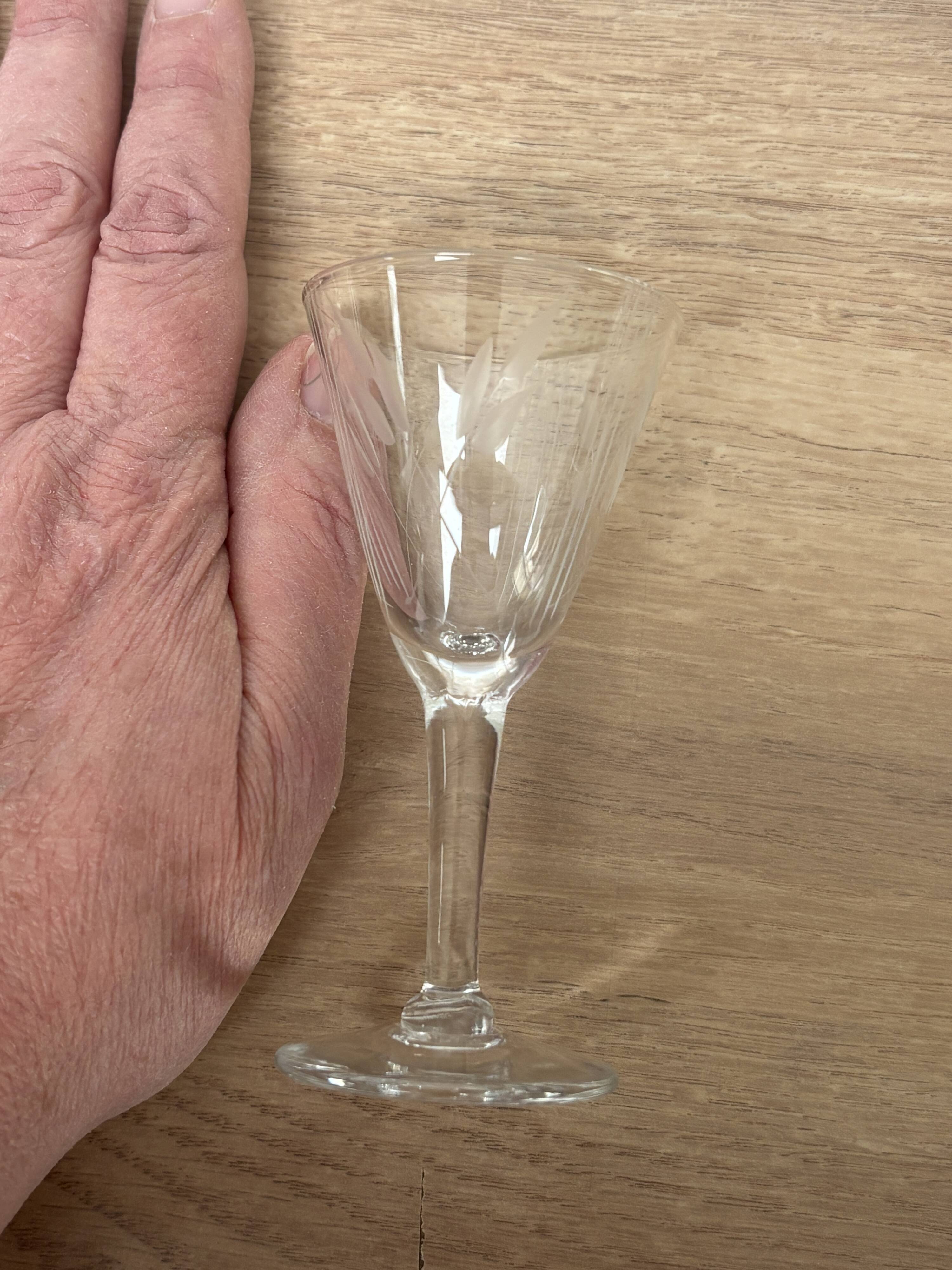 Set of 5 engraved glass liqueur glasses