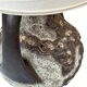 Large Brown Fat Lava Ceramic Floor Lamp by Richard Essig, 1960s, Germany
