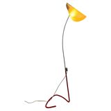 Mid-century organic design floor lamp by Josef Hůrka, 1960s / Napako