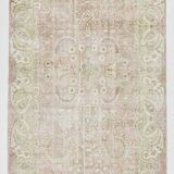 5x9 Light Red Green Vintage Area Rug, 160x274Cm SK 21509