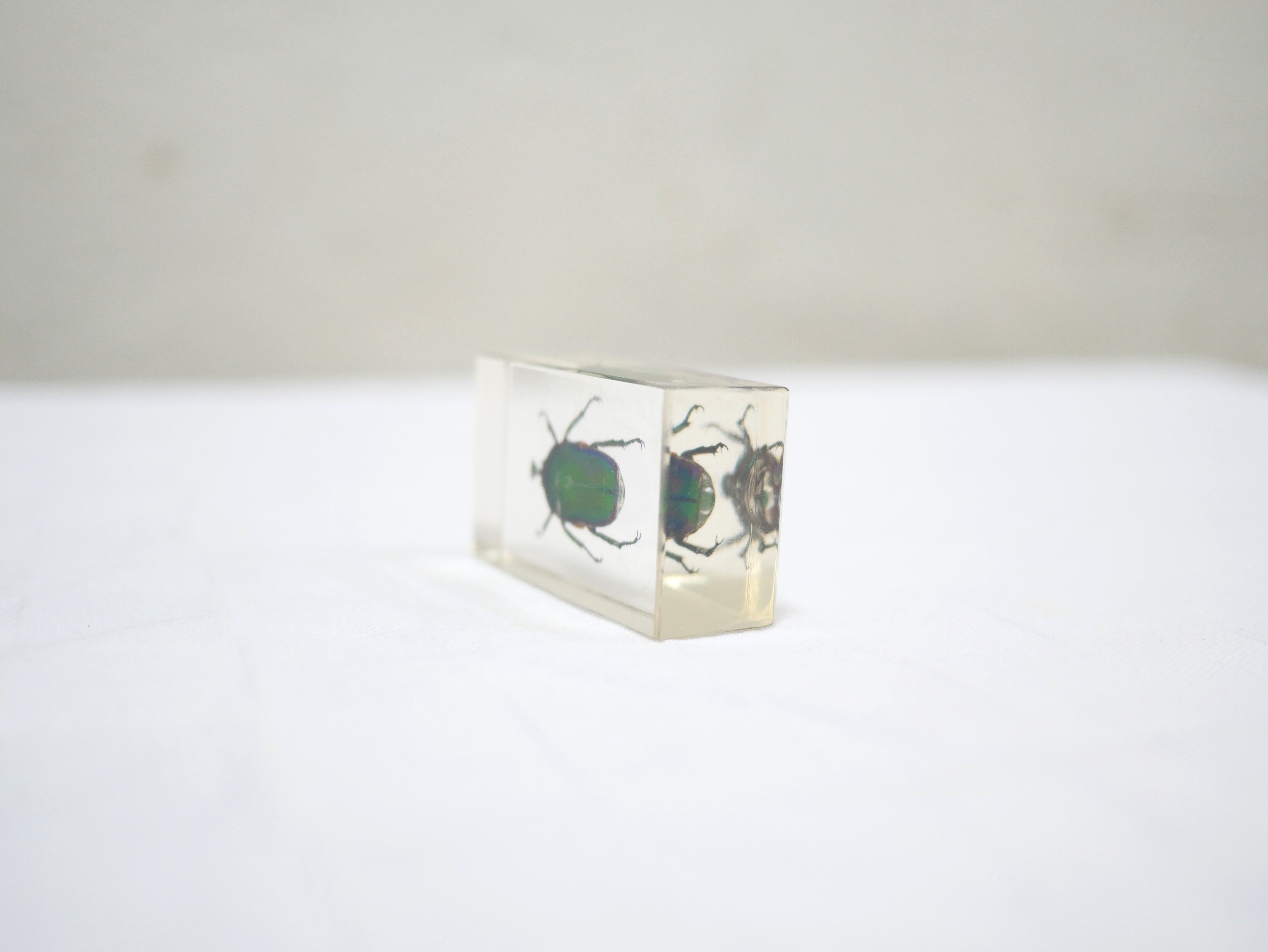 Vintage resin insect