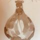 Signed still life monochrome sepia painting "dried flowers"