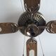 Palm fan light