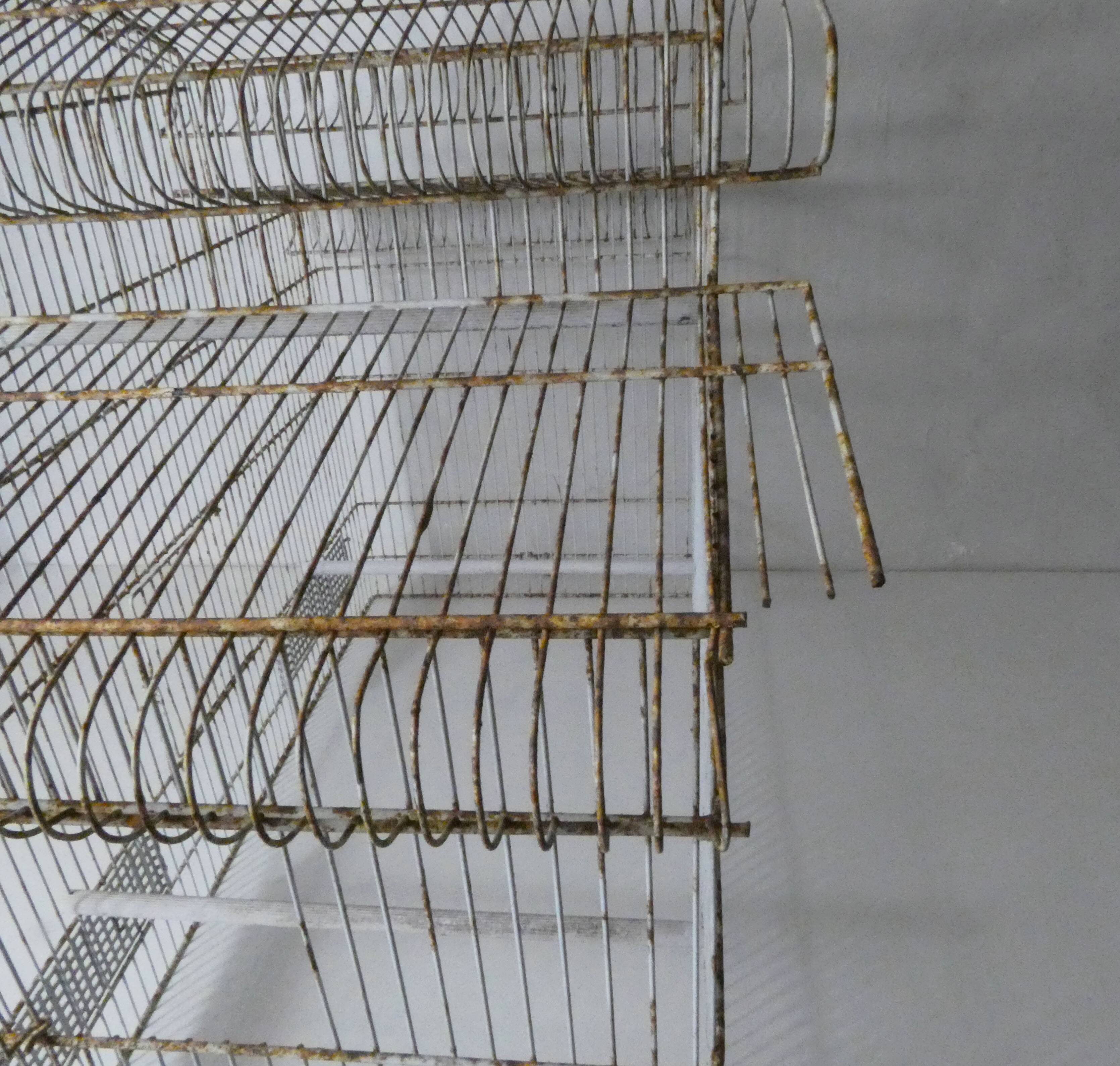 Large bird cage