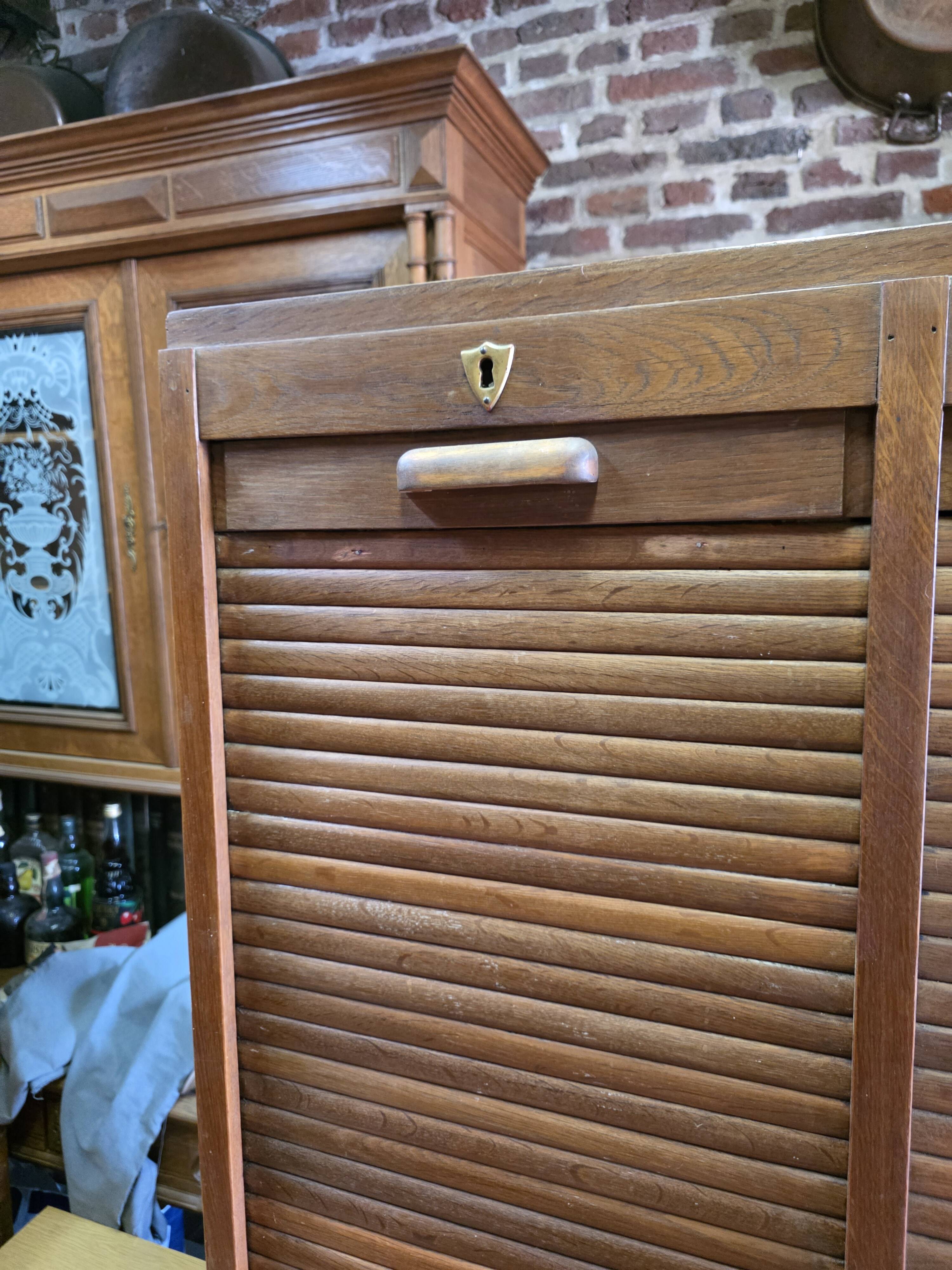 Antique double curtain cabinet in oak