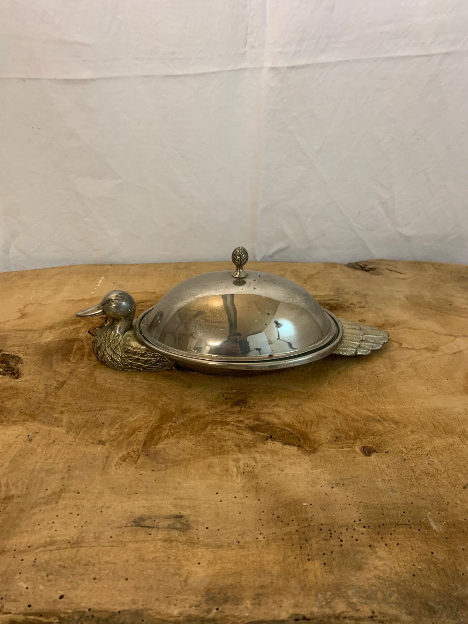 Foie gras display in metal and glass