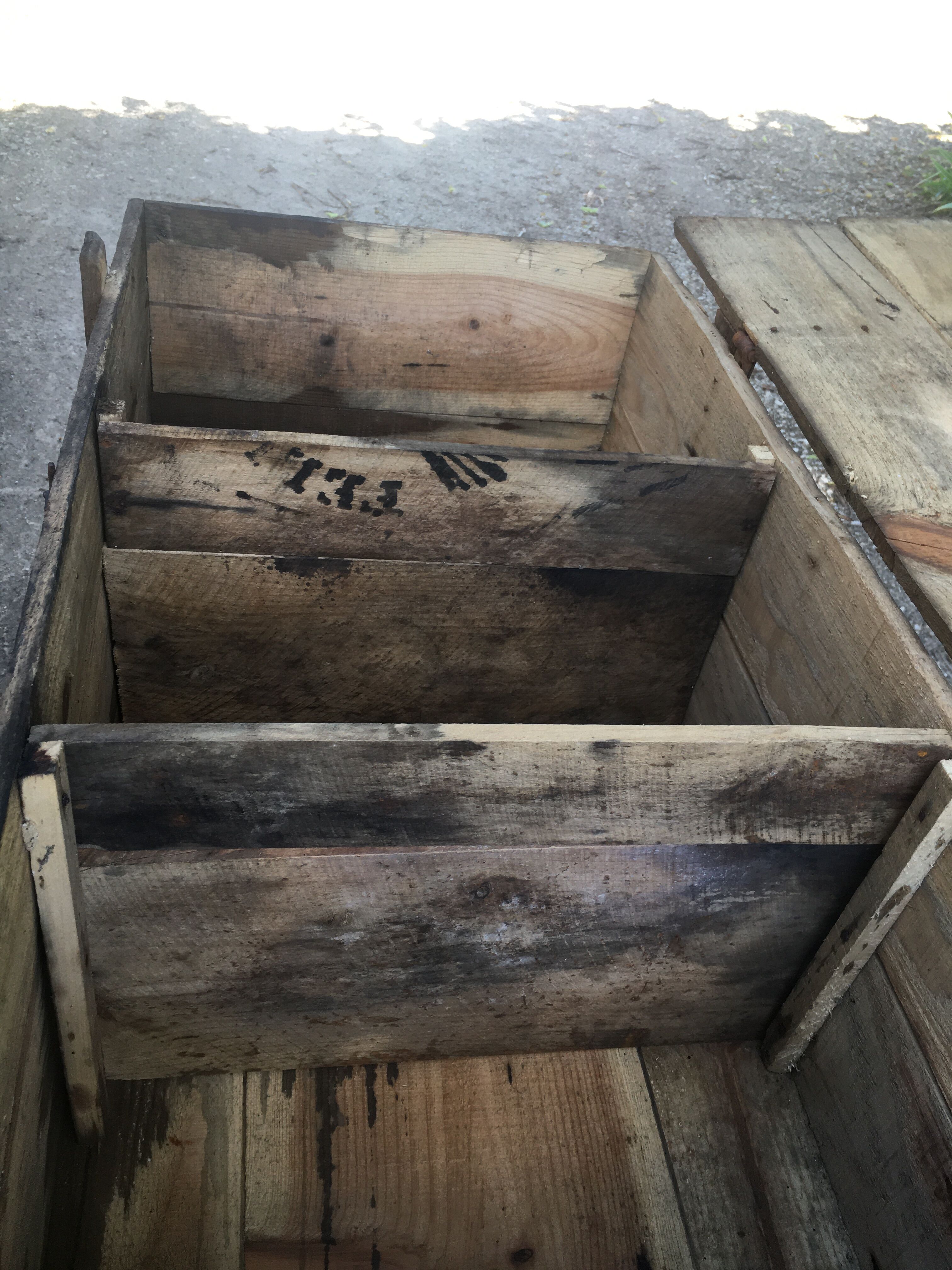 Wooden box Chocolate Foal