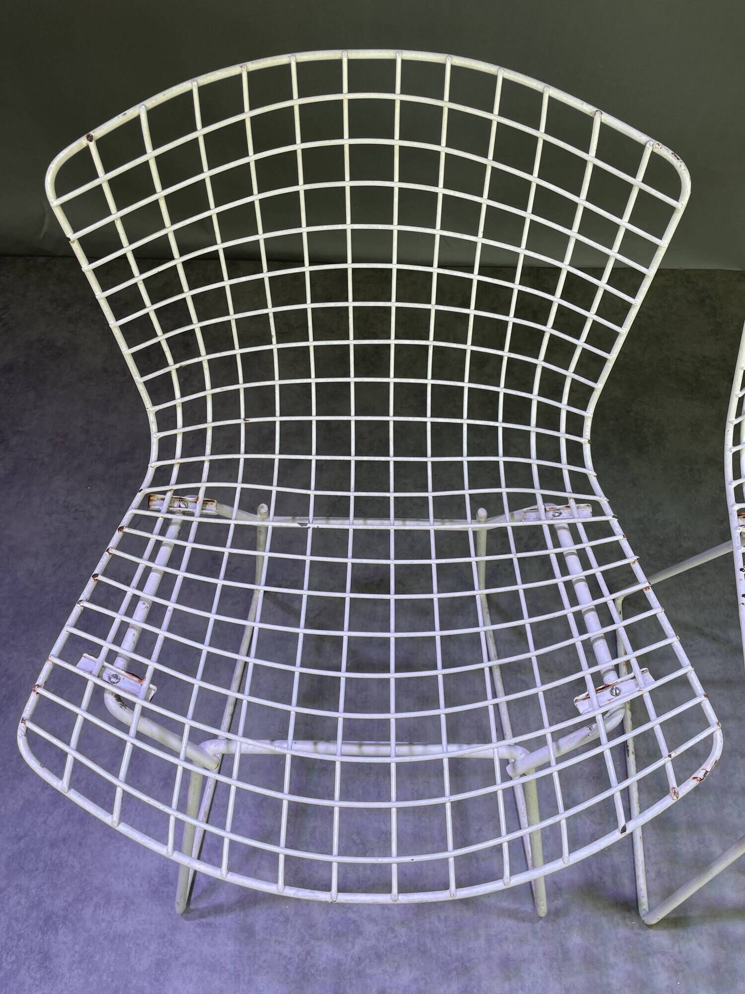 Pair of white lacquered Bertoia chairs