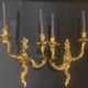 A pair of gilt bronze wall sconces in the chinese style - louis xv style