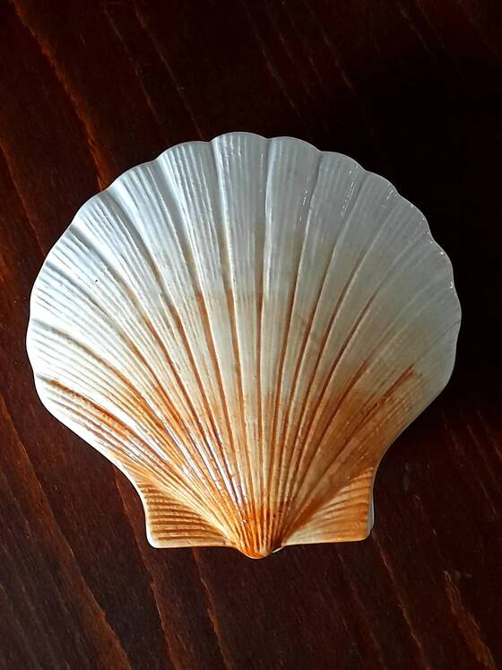Ceramic shell 1960