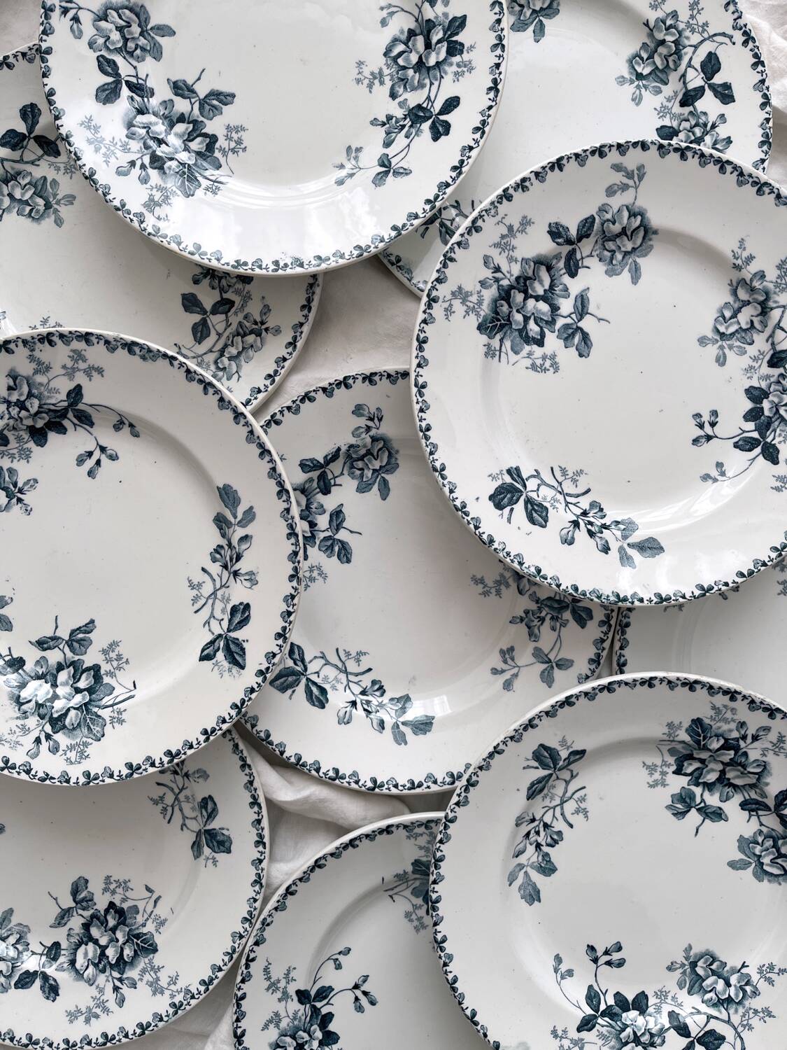 10 assiettes plates en terre de fer « Acacia » Moulin des Loups et Hamage