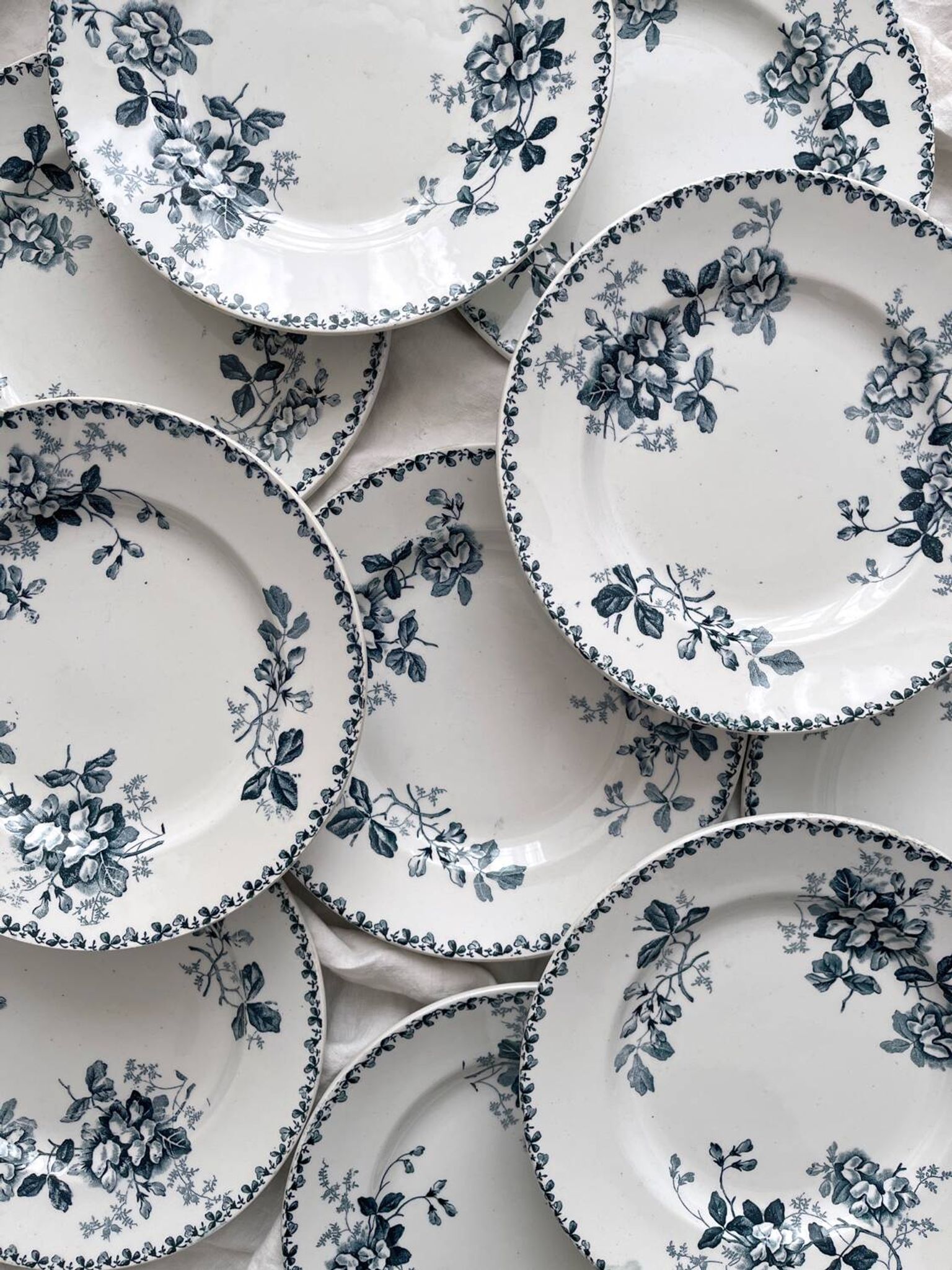 10 flat plates in iron earth “Acacia” Moulin des Loups and Hamage