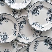 10 flat plates in iron earth “Acacia” Moulin des Loups and Hamage